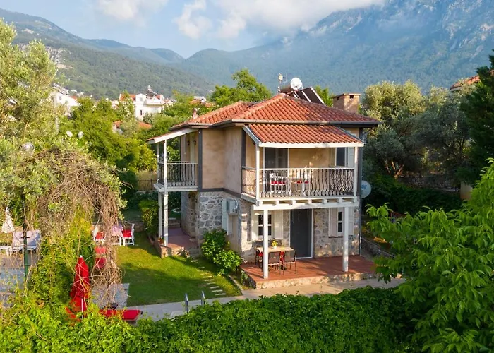 Aurora In Oeluedeniz