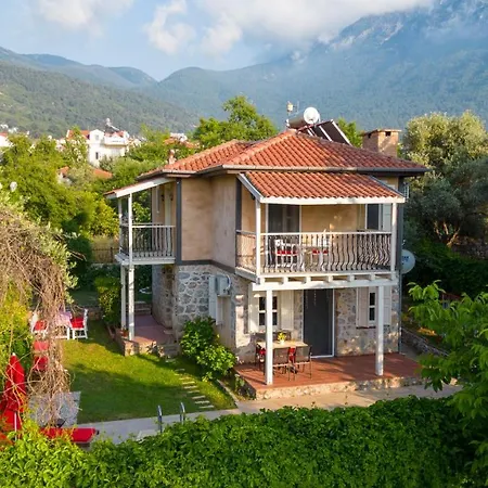 Aurora In Oeluedeniz